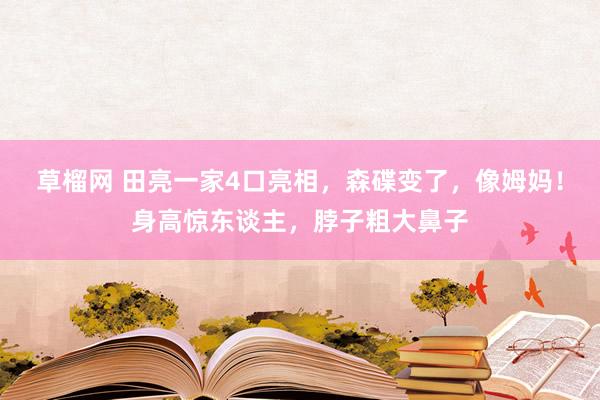 草榴网 田亮一家4口亮相，森碟变了，像姆妈！身高惊东谈主，脖子粗大鼻子