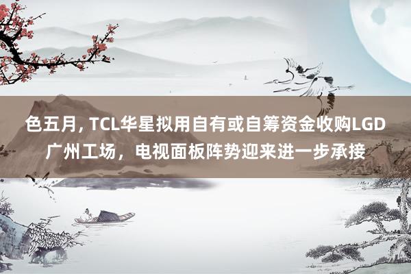 色五月， TCL华星拟用自有或自筹资金收购LGD广州工场，电视面板阵势迎来进一步承接