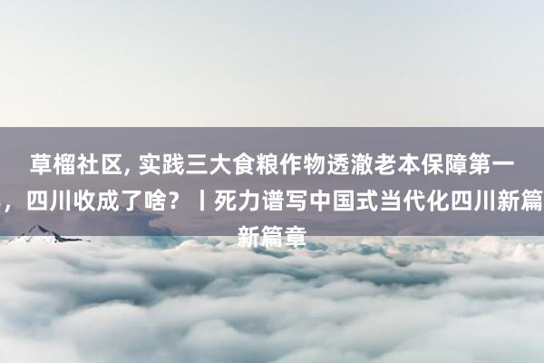 草榴社区， 实践三大食粮作物透澈老本保障第一年，四川收成了啥？丨死力谱写中国式当代化四川新篇章