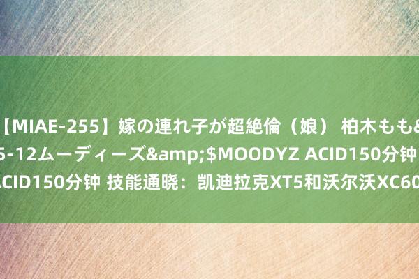 【MIAE-255】嫁の連れ子が超絶倫（娘） 柏木もも</a>2018-05-12ムーディーズ&$MOODYZ ACID150分钟 技能通晓：凯迪拉克XT5和沃尔沃XC60的豪华SUV较量