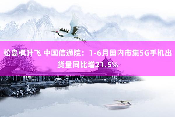 松岛枫叶飞 中国信通院：1-6月国内市集5G手机出货量同比增21.5%