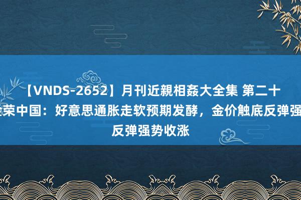 【VNDS-2652】月刊近親相姦大全集 第二十二巻 金荣中国：好意思通胀走软预期发酵，金价触底反弹强势收涨