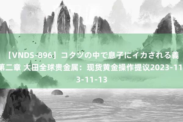 【VNDS-896】コタツの中で息子にイカされる義母 第二章 大田全球贵金属：现货黄金操作提议2023-11-13