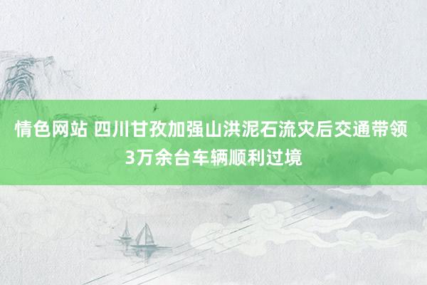 情色网站 四川甘孜加强山洪泥石流灾后交通带领 3万余台车辆顺利过境