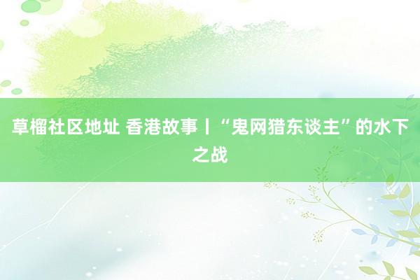 草榴社区地址 香港故事丨“鬼网猎东谈主”的水下之战