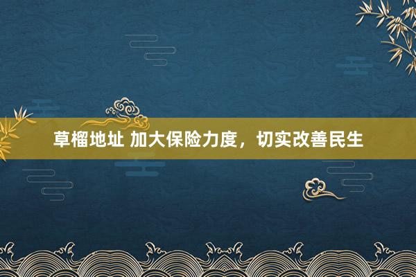 草榴地址 加大保险力度，切实改善民生