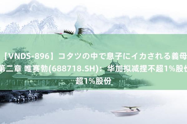 【VNDS-896】コタツの中で息子にイカされる義母 第二章 唯赛勃(688718.SH)：华加拟减捏不超1%股份