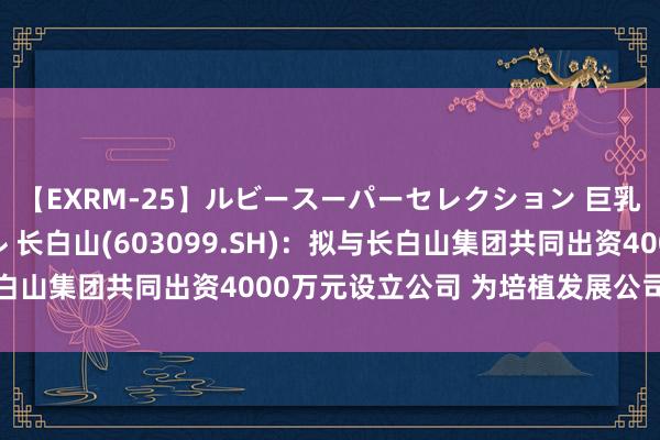 【EXRM-25】ルビースーパーセレクション 巨乳豊満4時間スペシャル 长白山(603099.SH)：拟与长白山集团共同出资4000万元设立公司 为培植发展公司餐饮业务