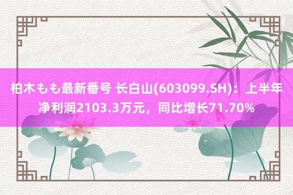 柏木もも最新番号 长白山(603099.SH)：上半年净利润2103.3万元，同比增长71.70%