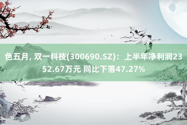 色五月， 双一科技(300690.SZ)：上半年净利润2352.67万元 同比下落47.27%