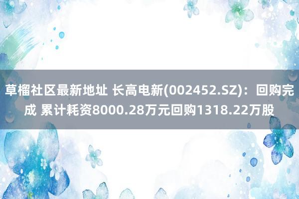 草榴社区最新地址 长高电新(002452.SZ)：回购完成 累计耗资8000.28万元回购1318.22万股