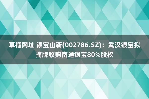 草榴网址 银宝山新(002786.SZ)：武汉银宝拟摘牌收购南通银宝80%股权