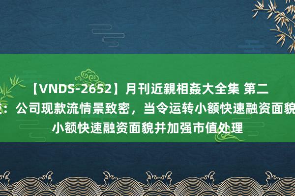 【VNDS-2652】月刊近親相姦大全集 第二十二巻 宏微科技：公司现款流情景致密，当令运转小额快速融资面貌并加强市值处理