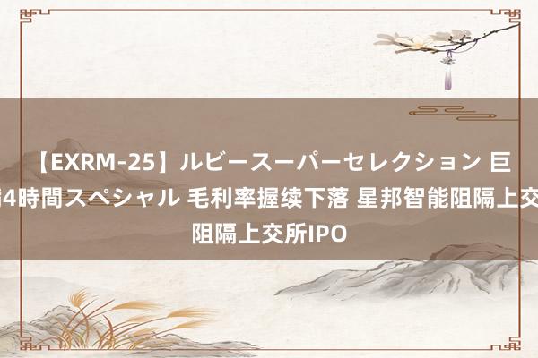 【EXRM-25】ルビースーパーセレクション 巨乳豊満4時間スペシャル 毛利率握续下落 星邦智能阻隔上交所IPO