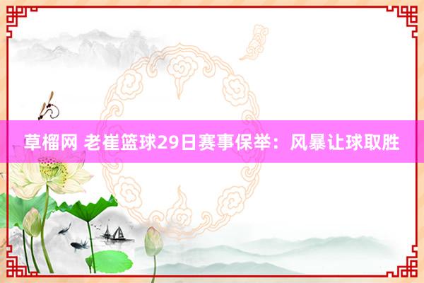 草榴网 老崔篮球29日赛事保举：风暴让球取胜