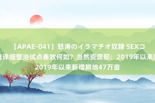 【APAE-041】怒涛のイラマチオ奴隷 SEXコレクション 地盘详细整治试点奏效何如？当然资源部：2019年以来新增耕地47万亩