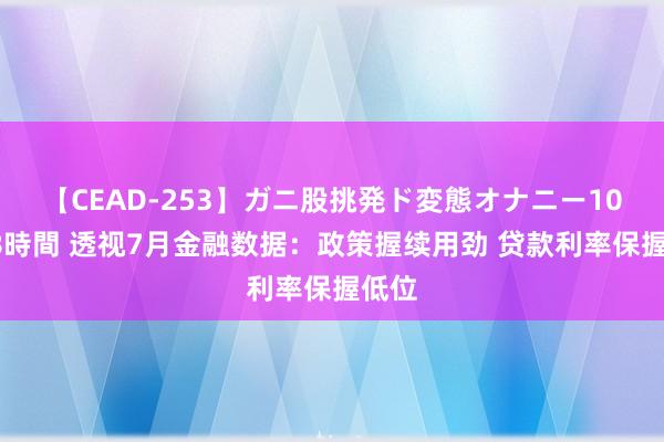 【CEAD-253】ガニ股挑発ド変態オナニー100人8時間 透视7月金融数据：政策握续用劲 贷款利率保握低位