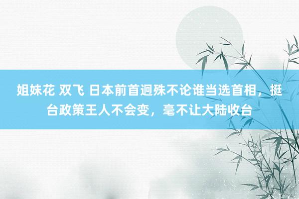 姐妹花 双飞 日本前首迥殊不论谁当选首相，挺台政策王人不会变，毫不让大陆收台