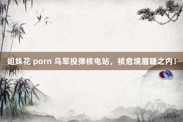 姐妹花 porn 乌军投弹核电站，核危境眉睫之内！