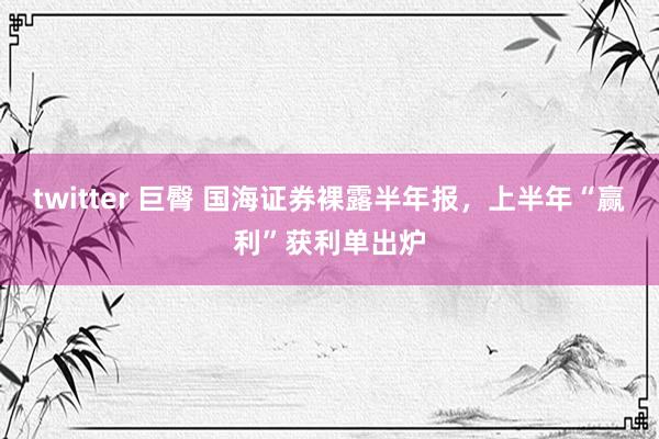 twitter 巨臀 国海证券裸露半年报，上半年“赢利”获利单出炉